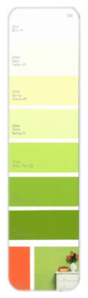 10PK Palette Card C04