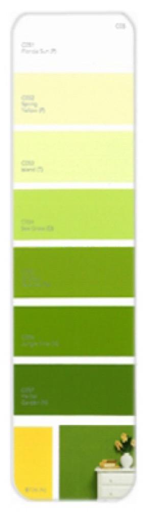 10PK Palette Card C05