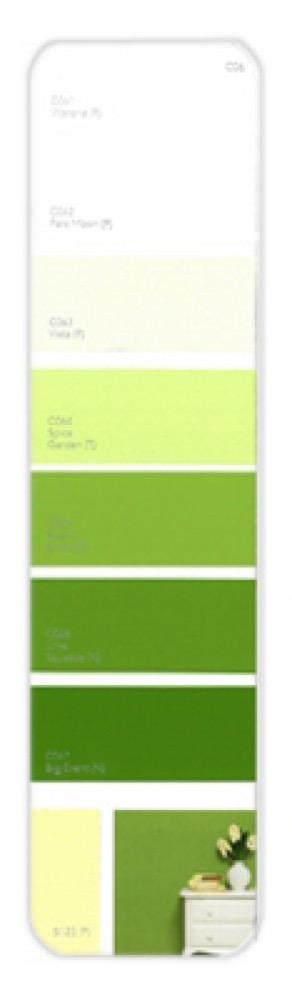 10PK Palette Card C06