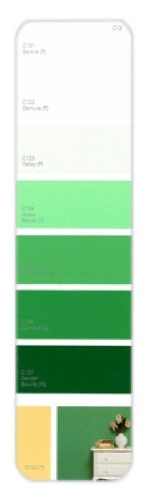 10PK Palette Card C12