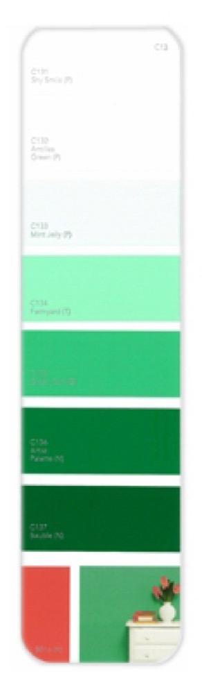 10PK Palette Card C13