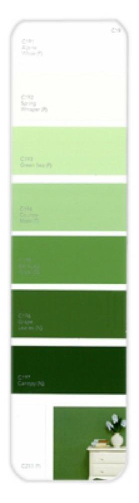 10PK Palette Card C19