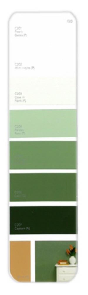 10PK Palette Card C20