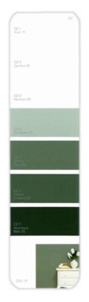 10PK Palette Card C22