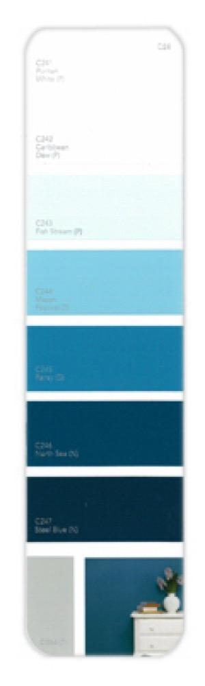 10PK Palette Card C24