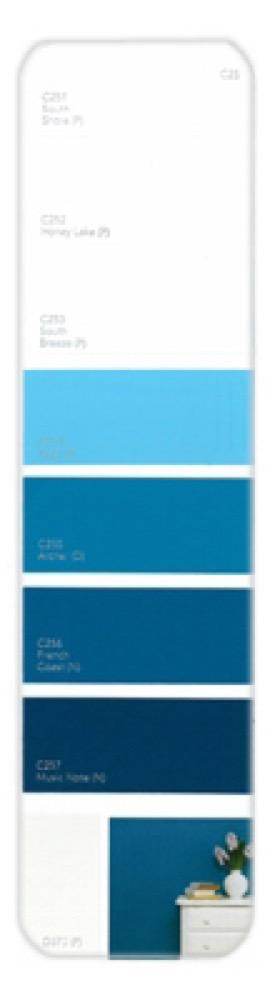 10PK Palette Card C25