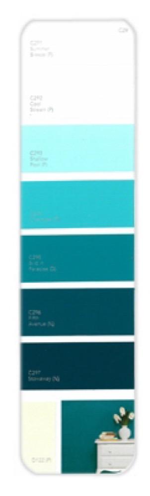 10PK Palette Card C29