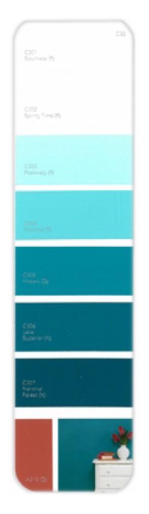 10PK Palette Card C30