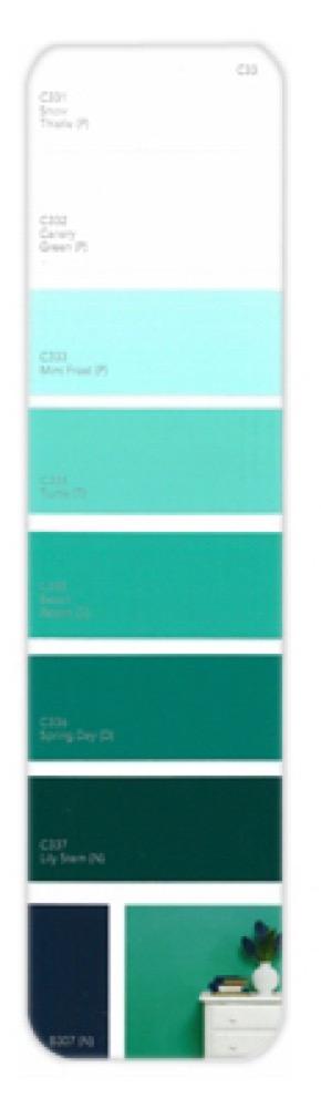 10PK Palette Card C33