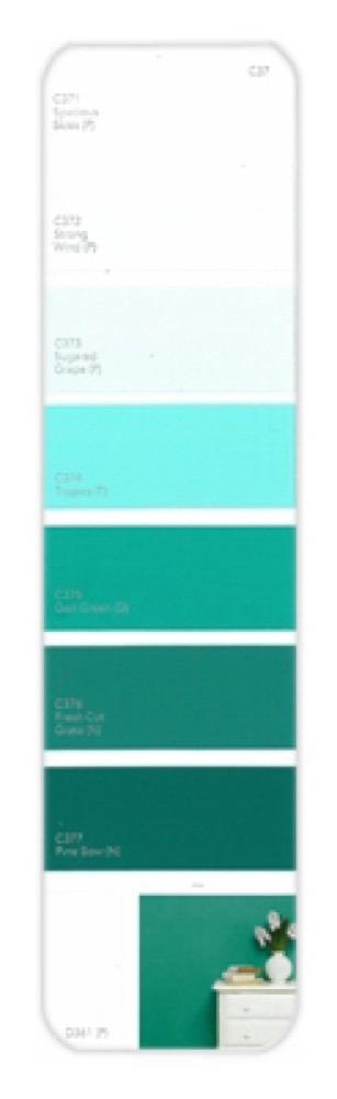 10PK Palette Card C37