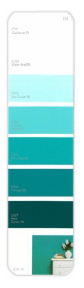 10PK Palette Card C32