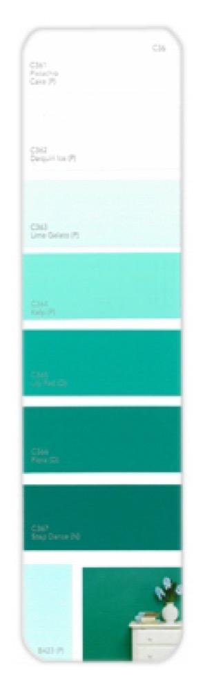 10PK Palette Card C36