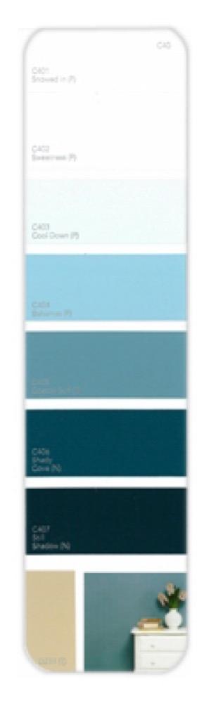 10PK Palette Card C40