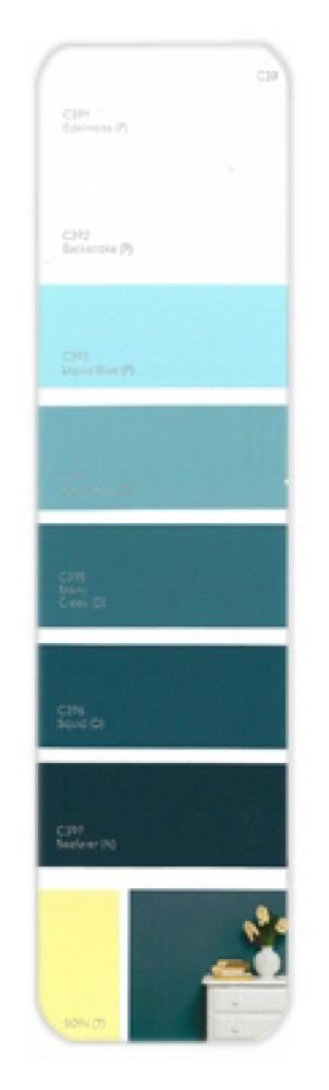 10PK Palette Card C39