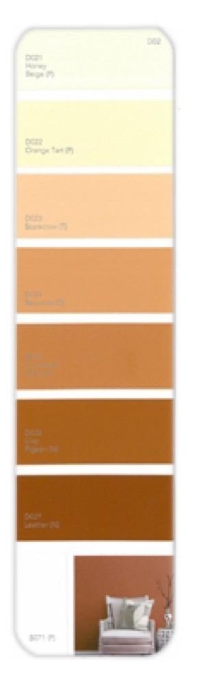 10PK Palette Card D02