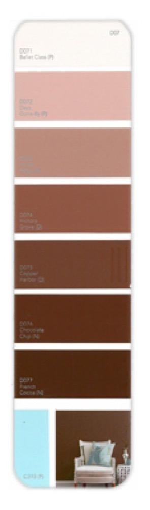 10PK Palette Card D07