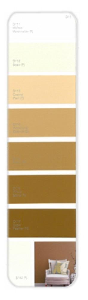 10PK Palette Card D11