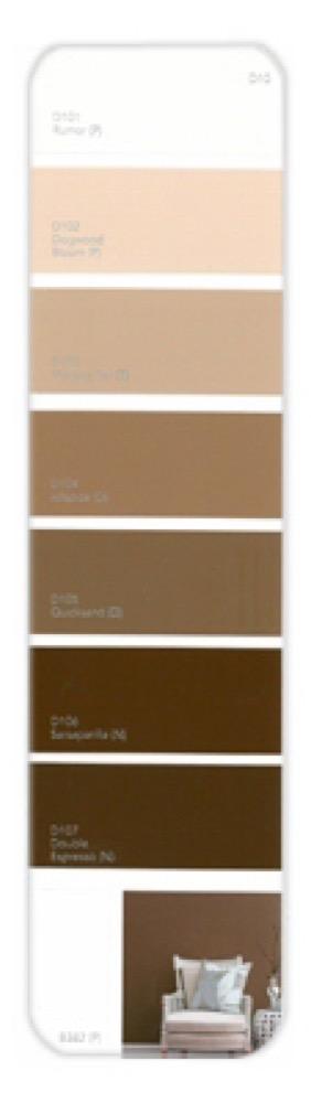 10PK Palette Card D10