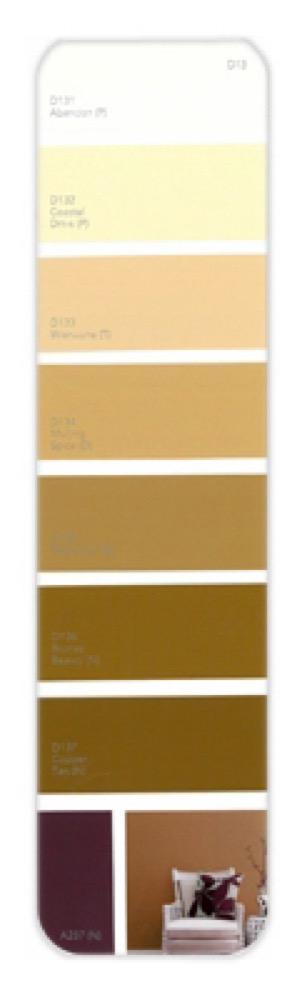 10PK Palette Card D13