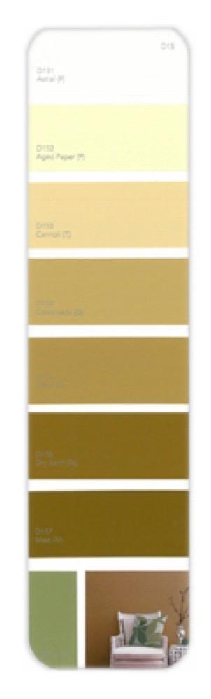 10PK Palette Card D15