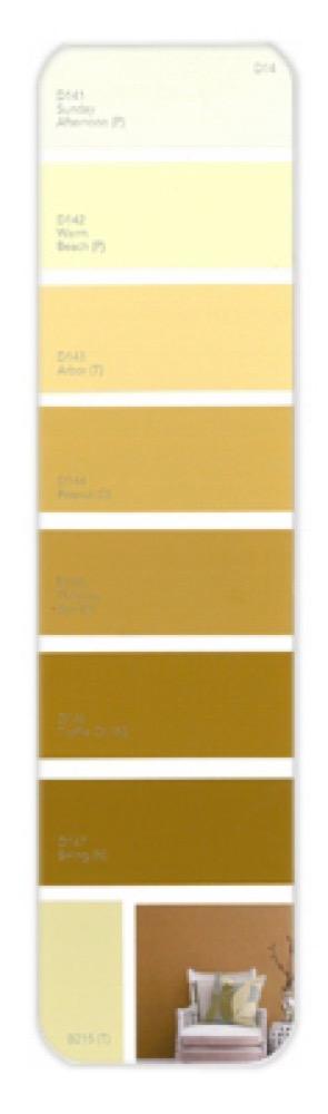 10PK Palette Card D14