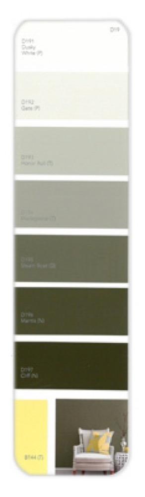 10PK Palette Card D19