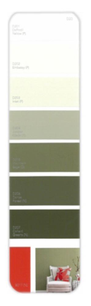 10PK Palette Card D20