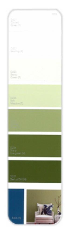 10PK Palette Card D22