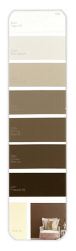 10PK Palette Card D26