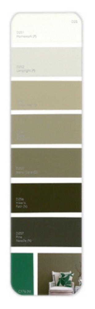 10PK Palette Card D25