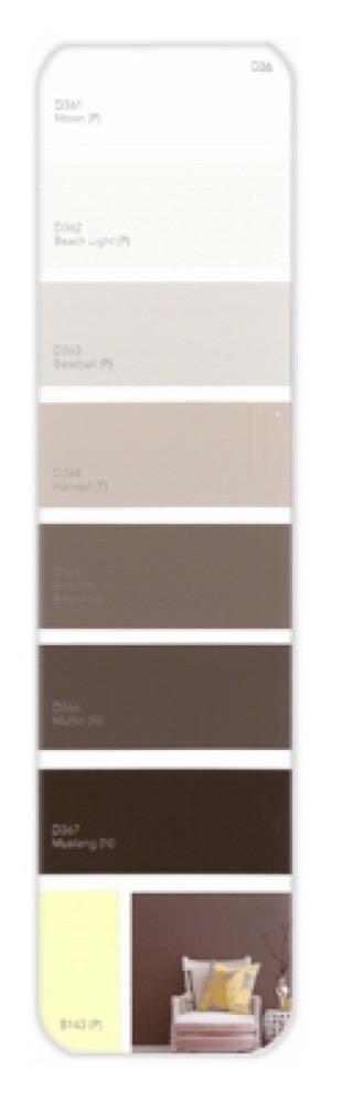 10PK Palette Card D36