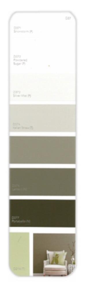 10PK Palette Card D37