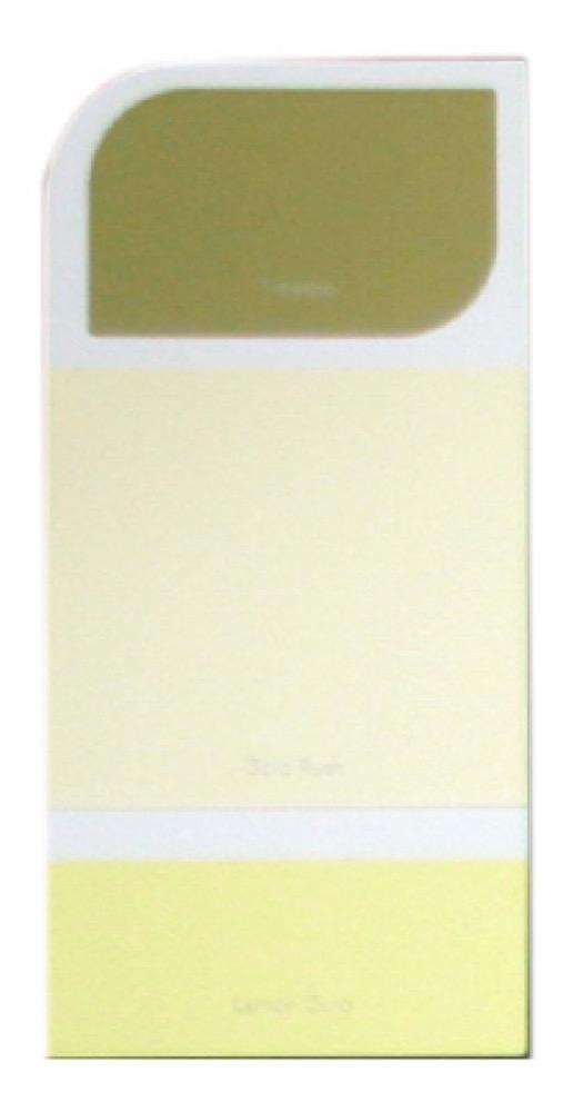 10PK WH IdeaCard WHIC34