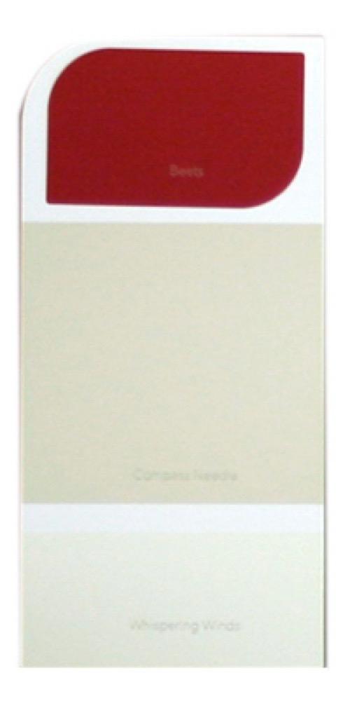 10PK WH IdeaCard WHIC41