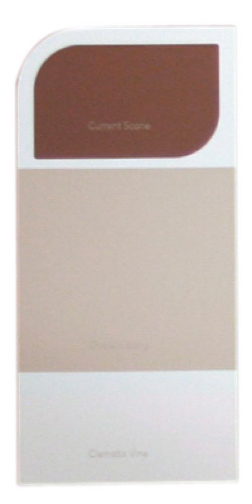 10PK WH IdeaCard WHIC40