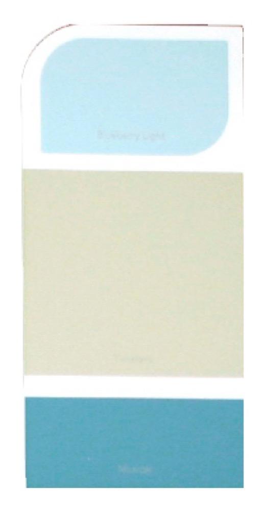 10PK WH IdeaCard WHIC20