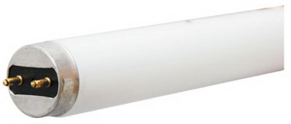 GE32W 4' CW Fluo Tube