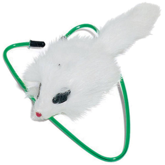 A Door Able Cat Toy