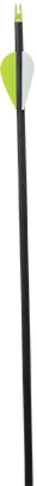 3CT 31"Adult Carb Arrow