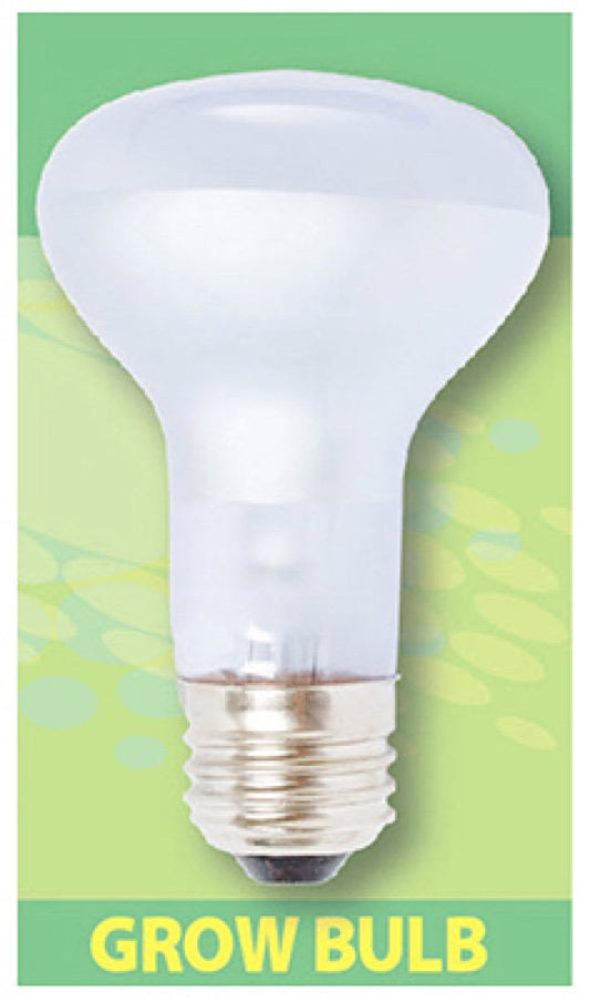 60W Dayspot Grow Bulb
