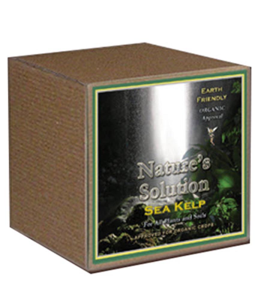 8OZ Organic Sea Kelp
