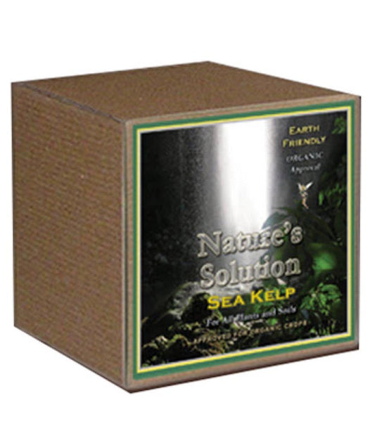 8OZ Organic Sea Kelp