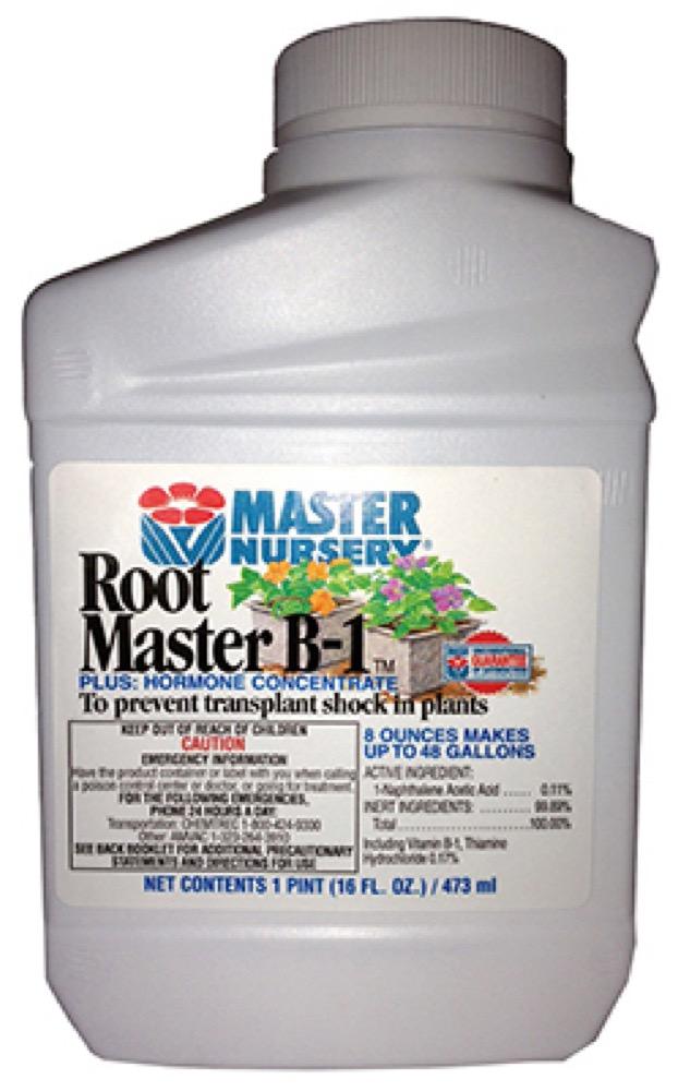 16OZ Root Stimulant