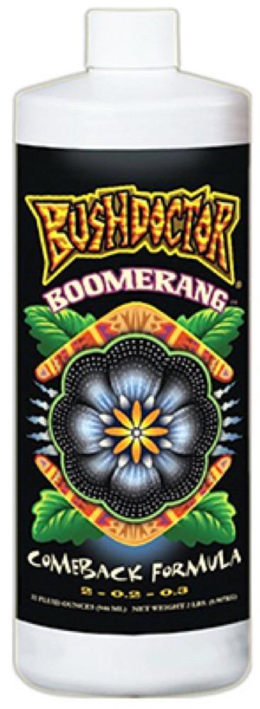 QT Boomerang
