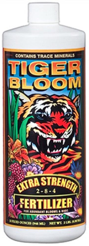 QT Tiger Bloom