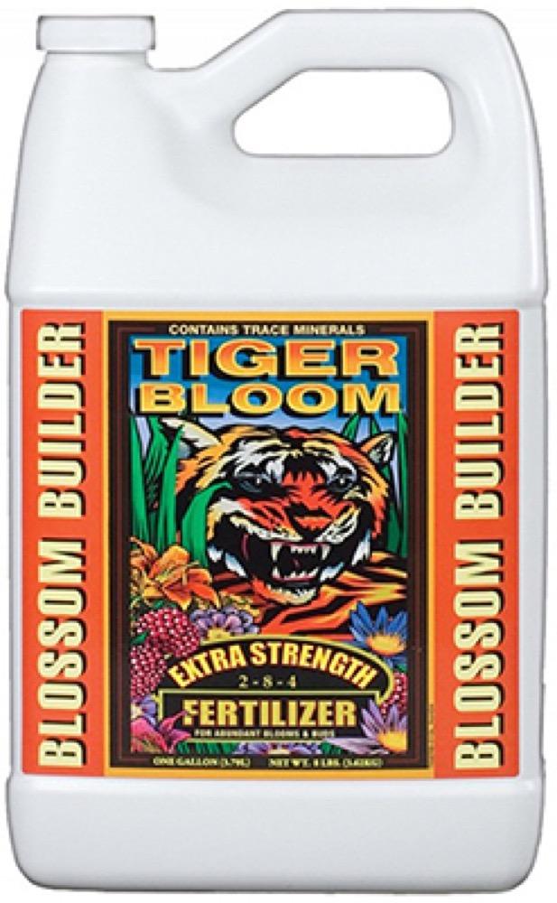 GAL Tiger Bloom