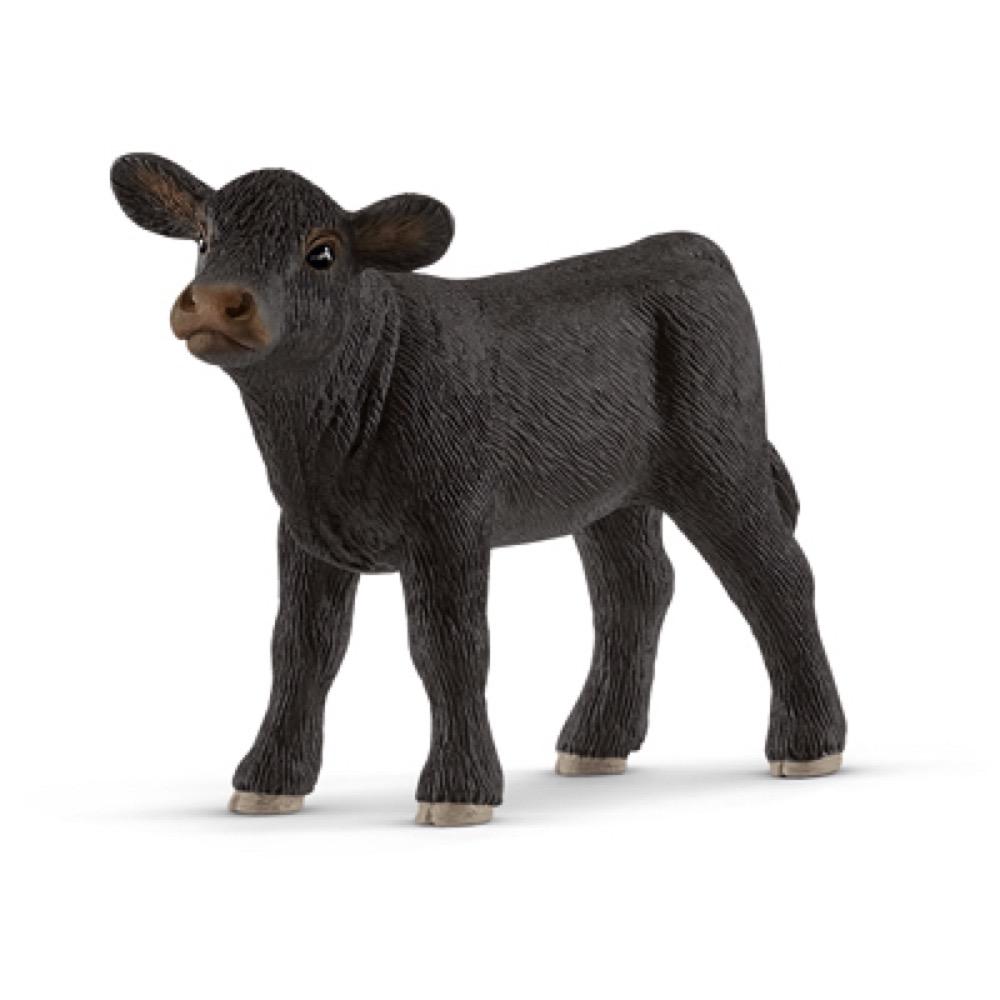 BLK Angus Calf