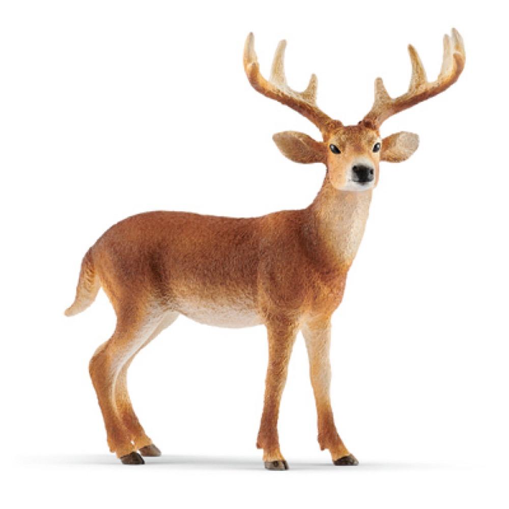 BRN/WHT Tailed Buck