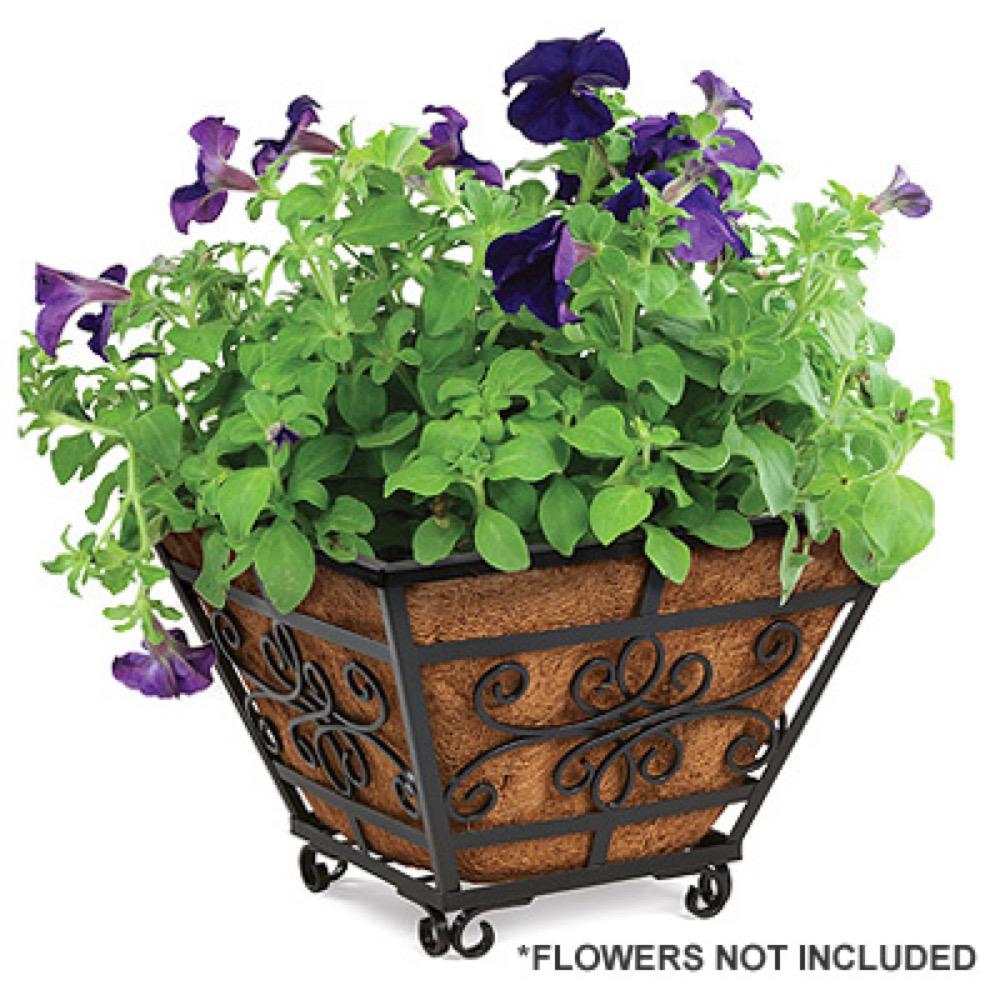 14" Quatrefoil Planter