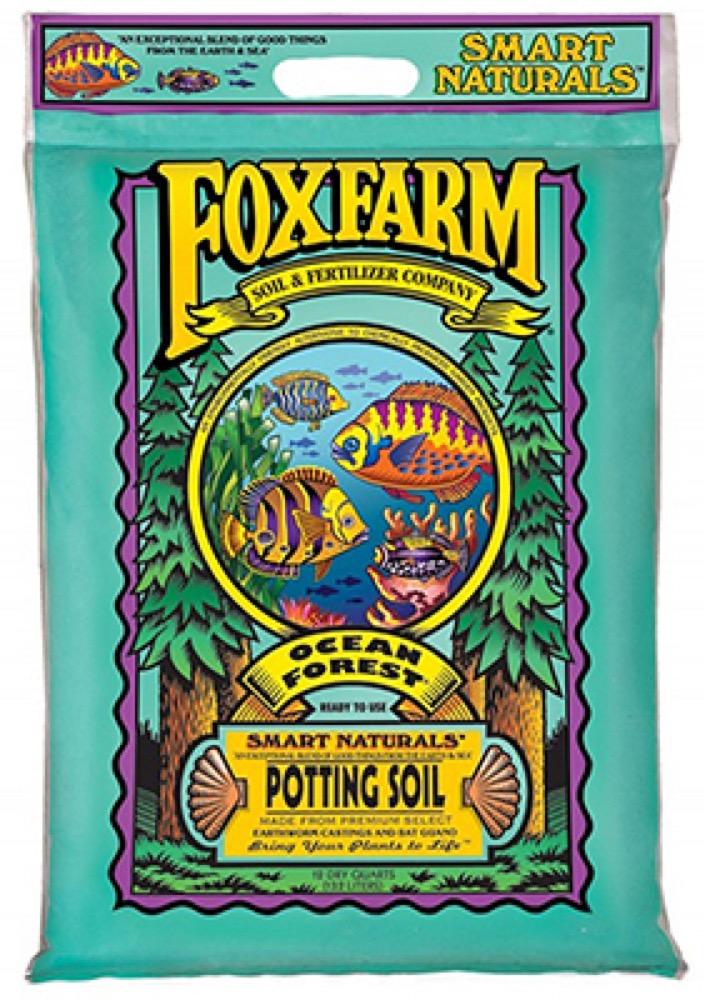 12QT Ocean Forest Soil